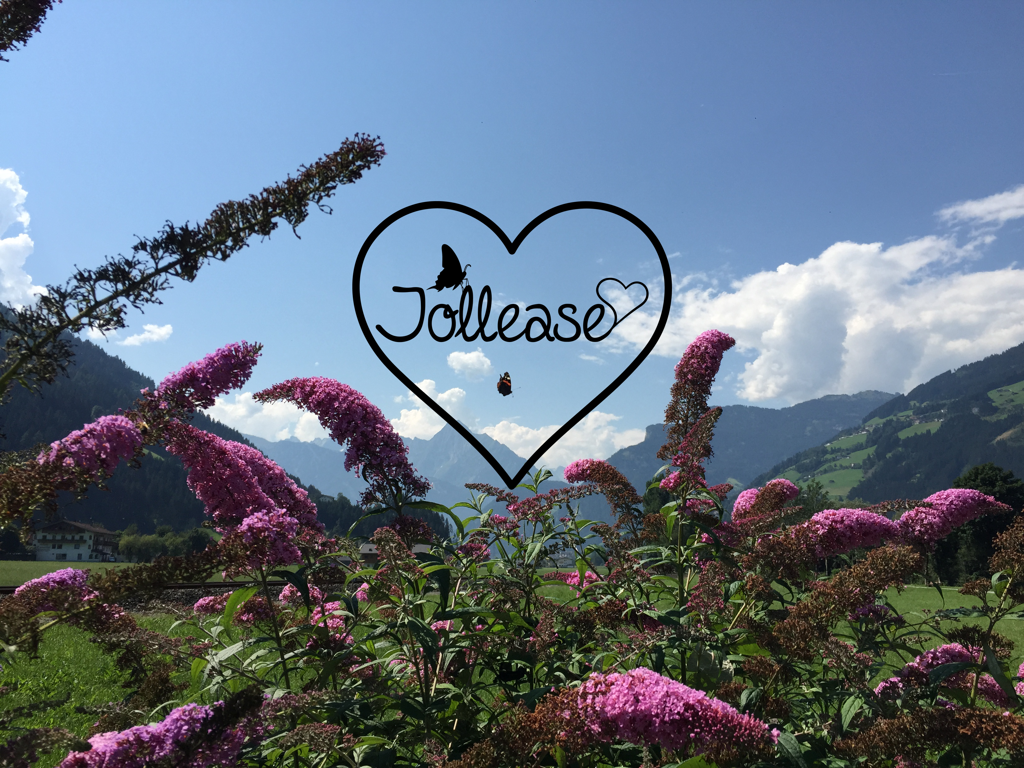 Jollease Coaching